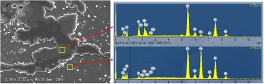 SEM像 　　　　　　　　　　　　　　矩形領域のスペクトルの比較