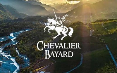 Weinberg besichtigen wallis