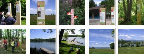 Click Fotos Waldwanderungen Solothurn Wasseramt