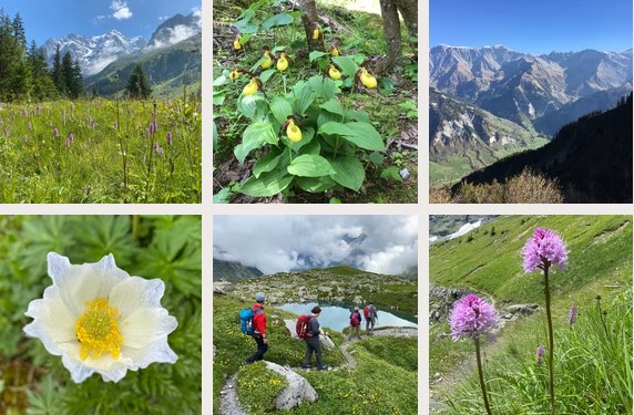 Geführte Gruppenwanderung Jura und Schweiz
