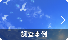 調査事例