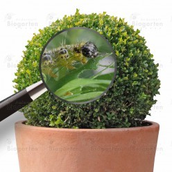 Alle Bilder von Andermatt Biogarten