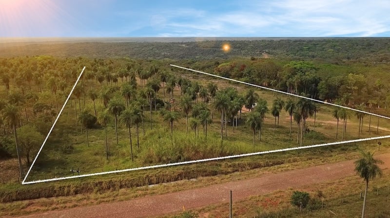 VERKAUFT! Grundstück 4,5 Hektar mit Aussicht in Atyra #169