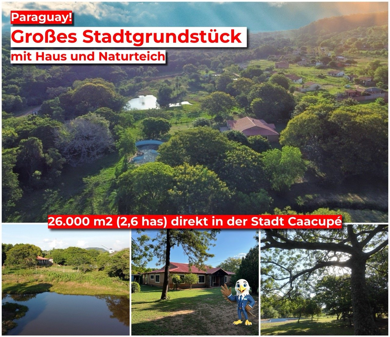 Großes Stadtgrundstück (2,6 Hektar) mit Haus und Naturteich in Caacupé #adler 391