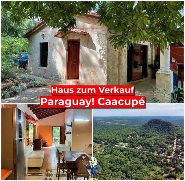 Naturrefugium mit Potenzial – Wohnen, Leben & Gestalten in Caacupé #adler407