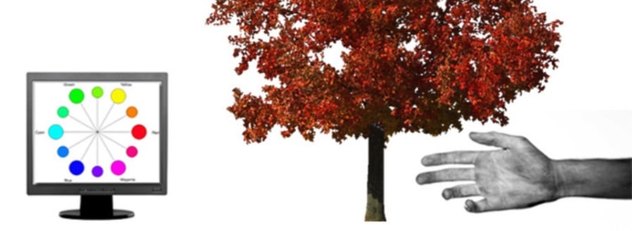 Proyecto: The (Hue)Man Project