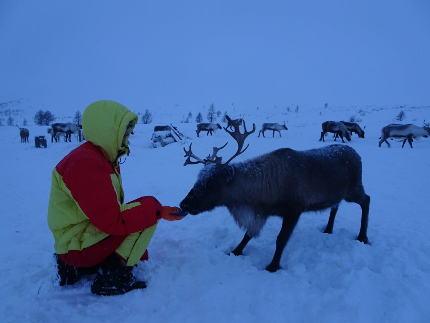 Bei den Rentiernomaden