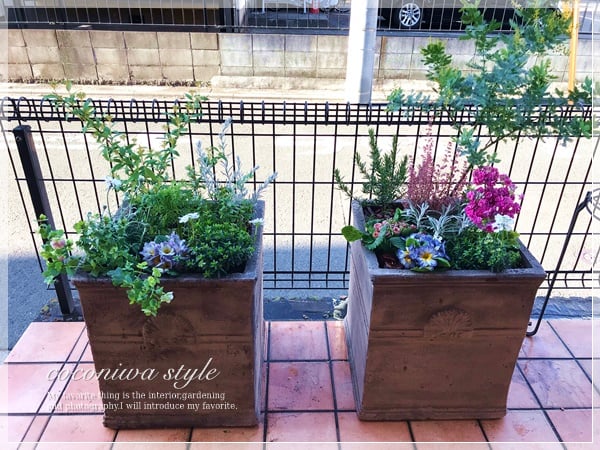 ここにわスタイル