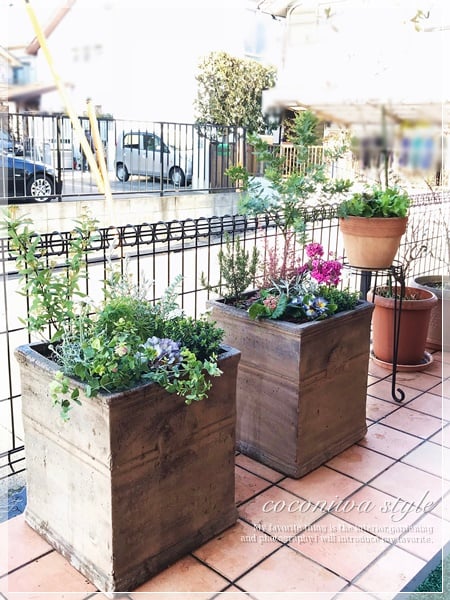 ここにわスタイル