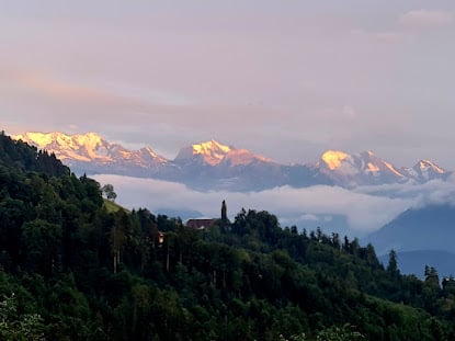 Alpen im Vordergrund Krindenhof und Wald 