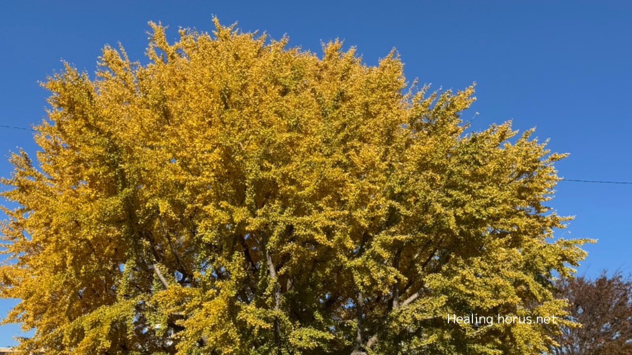 感じていることをスルーする