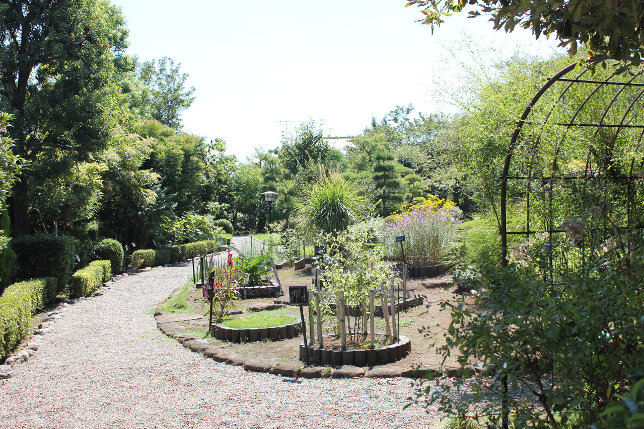 万葉植物園なかほど