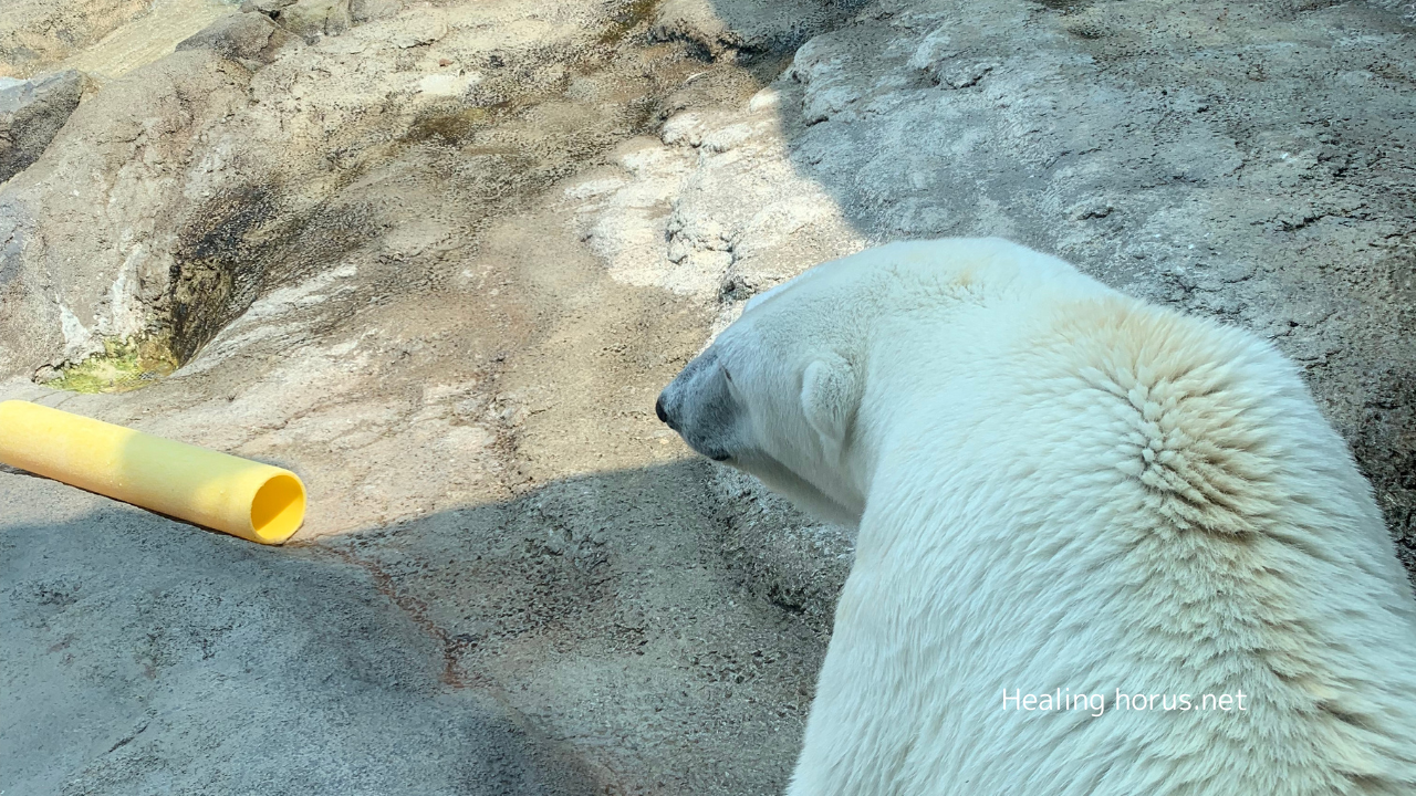 怖いこと、の話