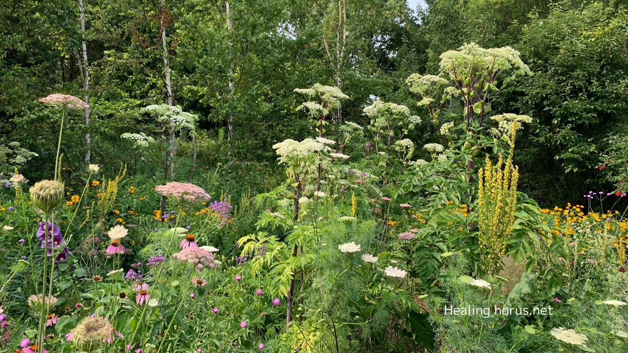 ヒーリングの感想