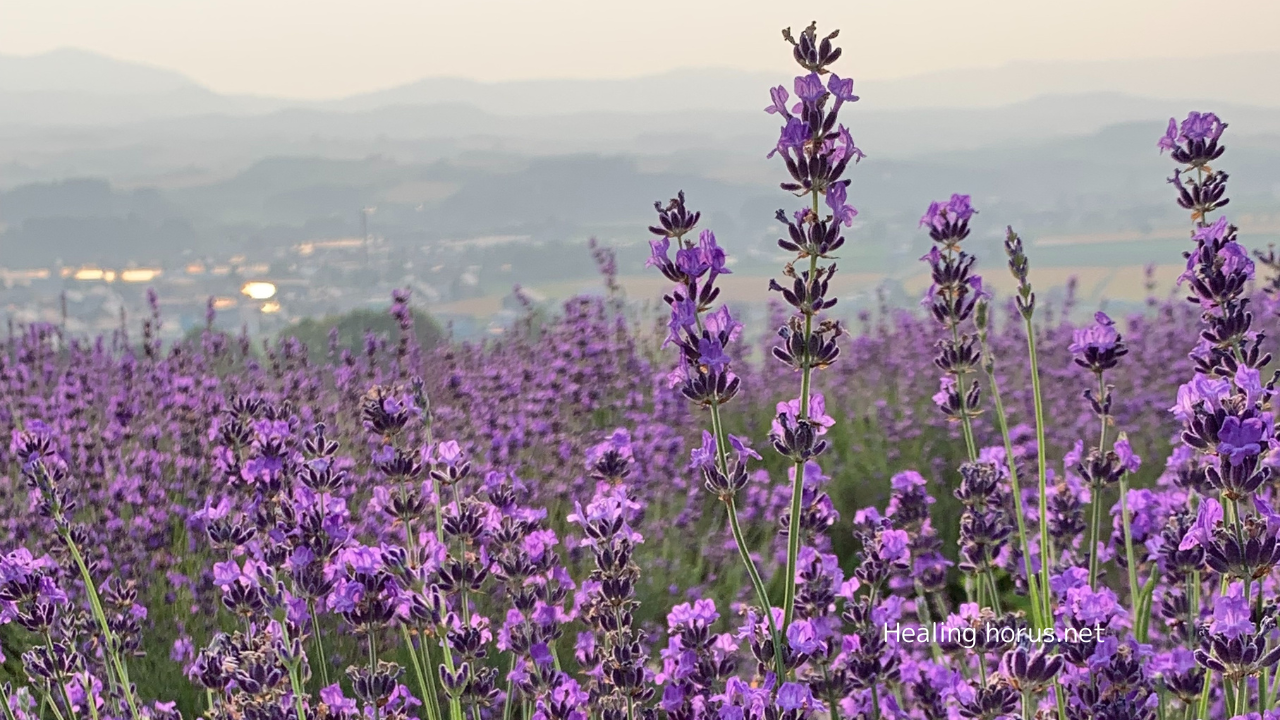 一人の時間と札幌研修そして次