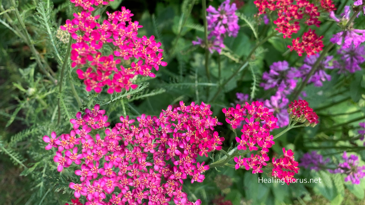 香川　高松市でのヒーリングセッションのお知らせ（追加日程あり）