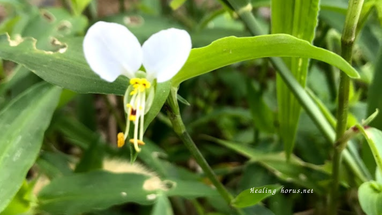 もういちど、大切なこと。自分を知るスケールについて