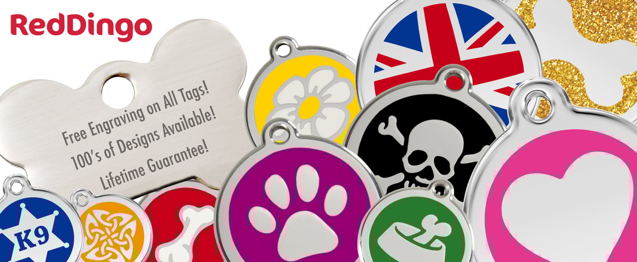 Its UK Law That Your Dog Has An ID Tag