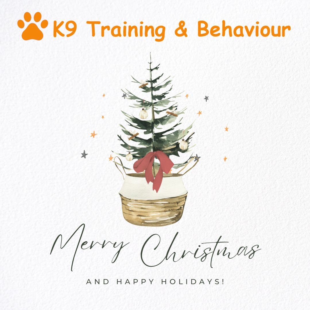 A Christmas Survival Guide For Your Dog