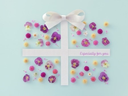 ２０周年記念感謝祭！キャンペーンのお知らせ