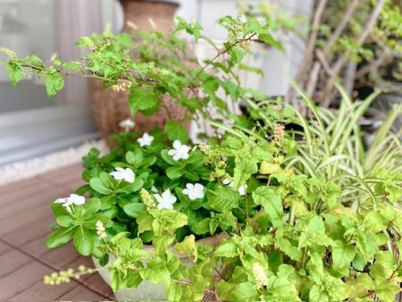 8月末までのご入学の方限定！開業サポート特典