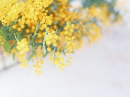 柏開催・4月の１日講習開催スケジュール