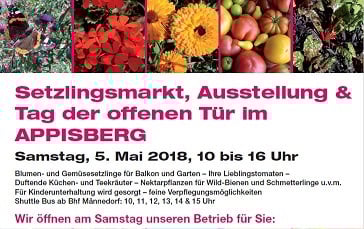 Kunstausstellung im Appisberg
