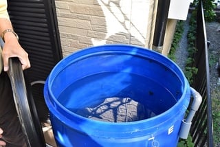 雨水タンクの中