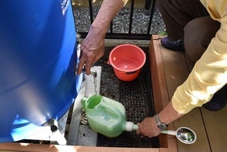 蛇口からじょうろへ