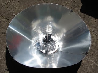 あさがお（写真）