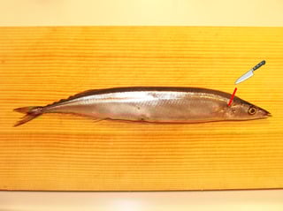 切り込みの位置