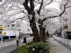 都立大学から自由が丘