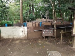 駒場野公園落ち葉ンク