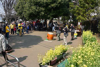 昨年の菜の花まつりの様子