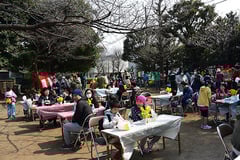 テーブルにも菜の花