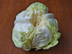キャベツ中葉
