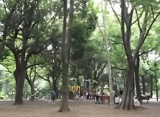 子どもたちの遊び場