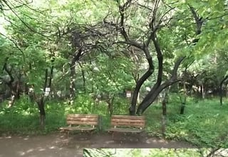 五感が刺激されます