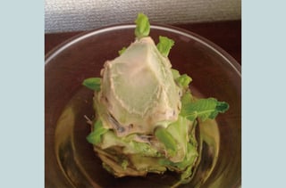 キャベツのリボベジ