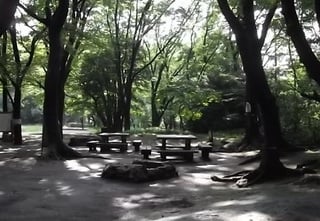 デイキャンプ場