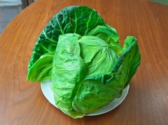 キャベツ1個