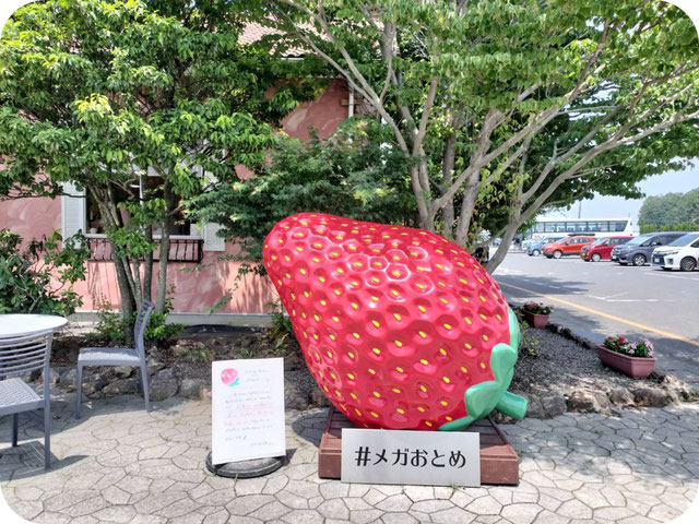 【浜川荘】メ、メガおとめ！？バスツアー