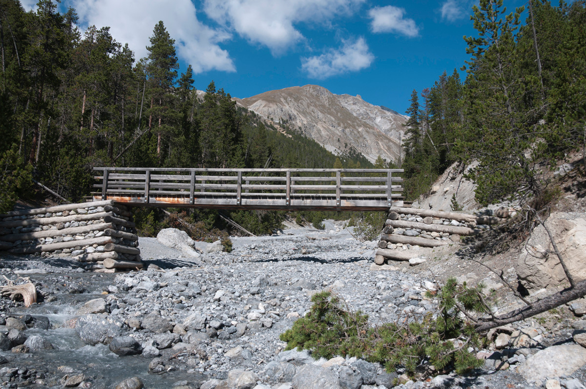 wildbach im nationalpark