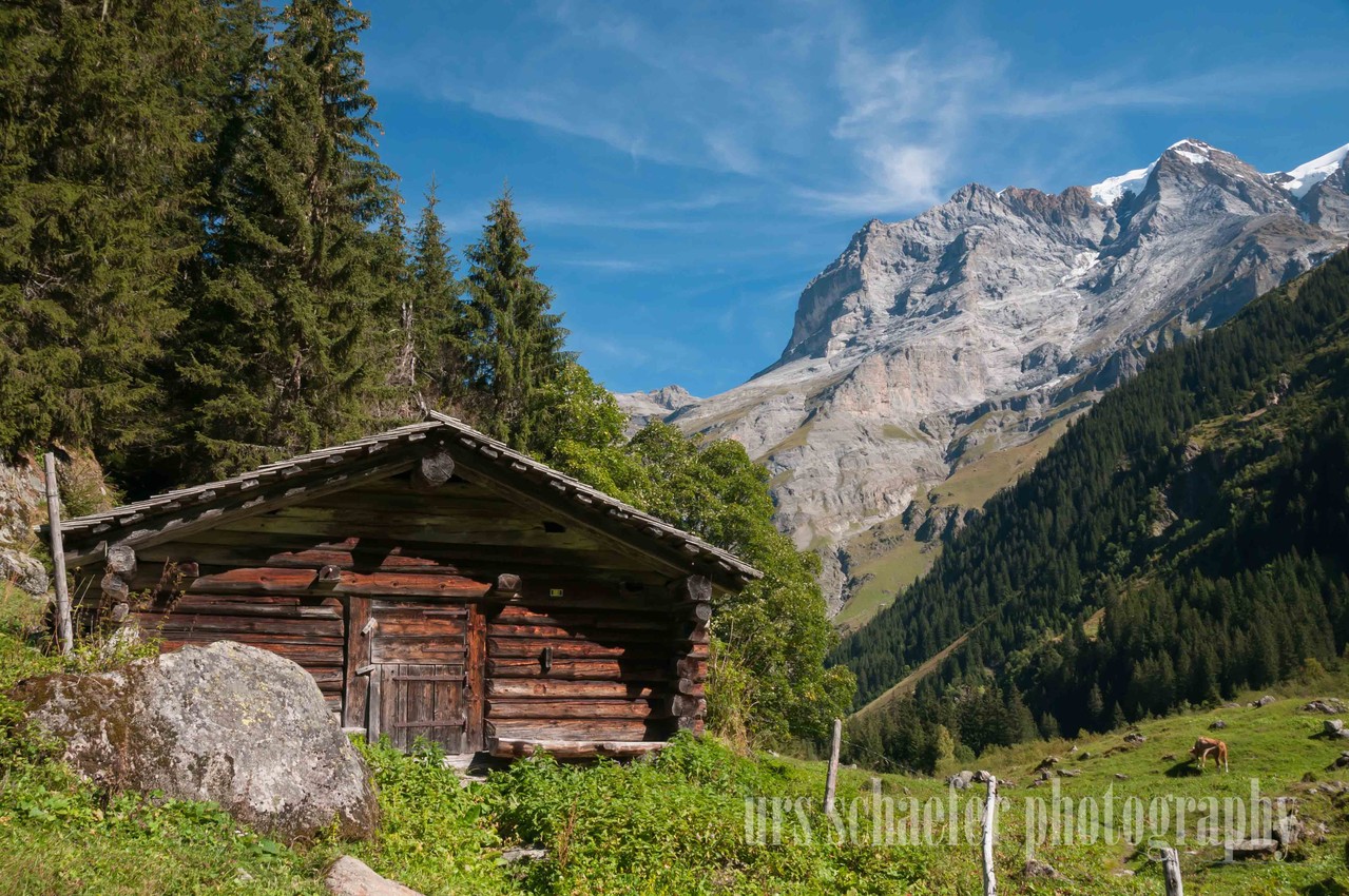 hinteres lauterbrunnental mit jungfrau