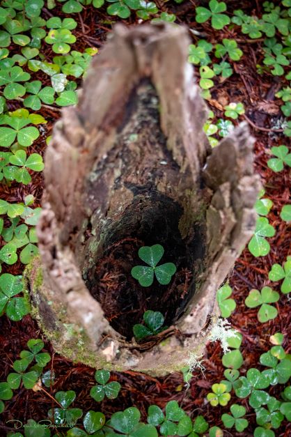 signed, sealed, delivered