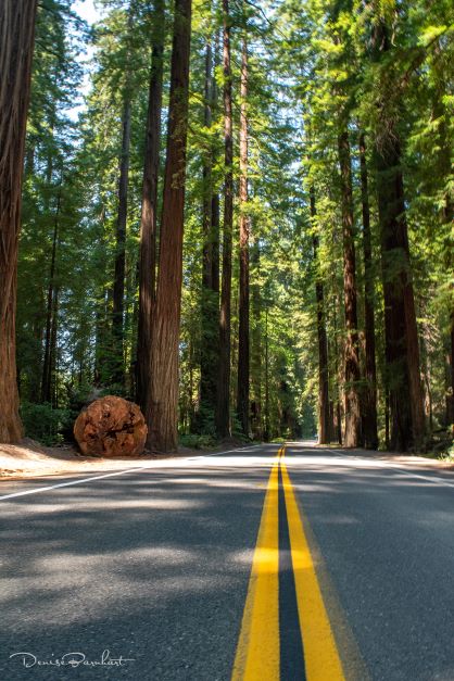 dancing in the street
