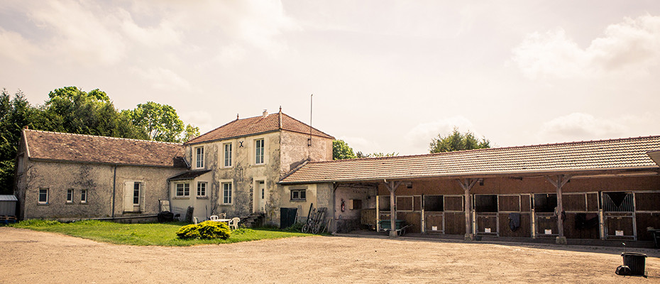 L'Arche d'Ury pension pour chiens, chats et chevaux