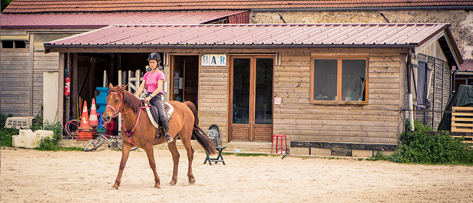 L'Arche d'Ury le pension pour votre cheval en pré-abri ou en pré-box