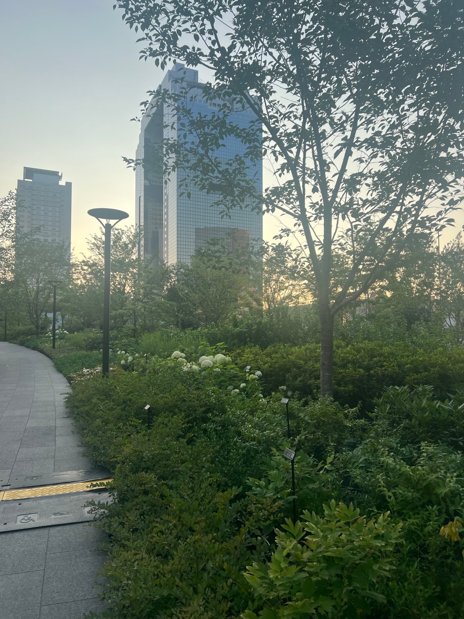 夏がやってきました！