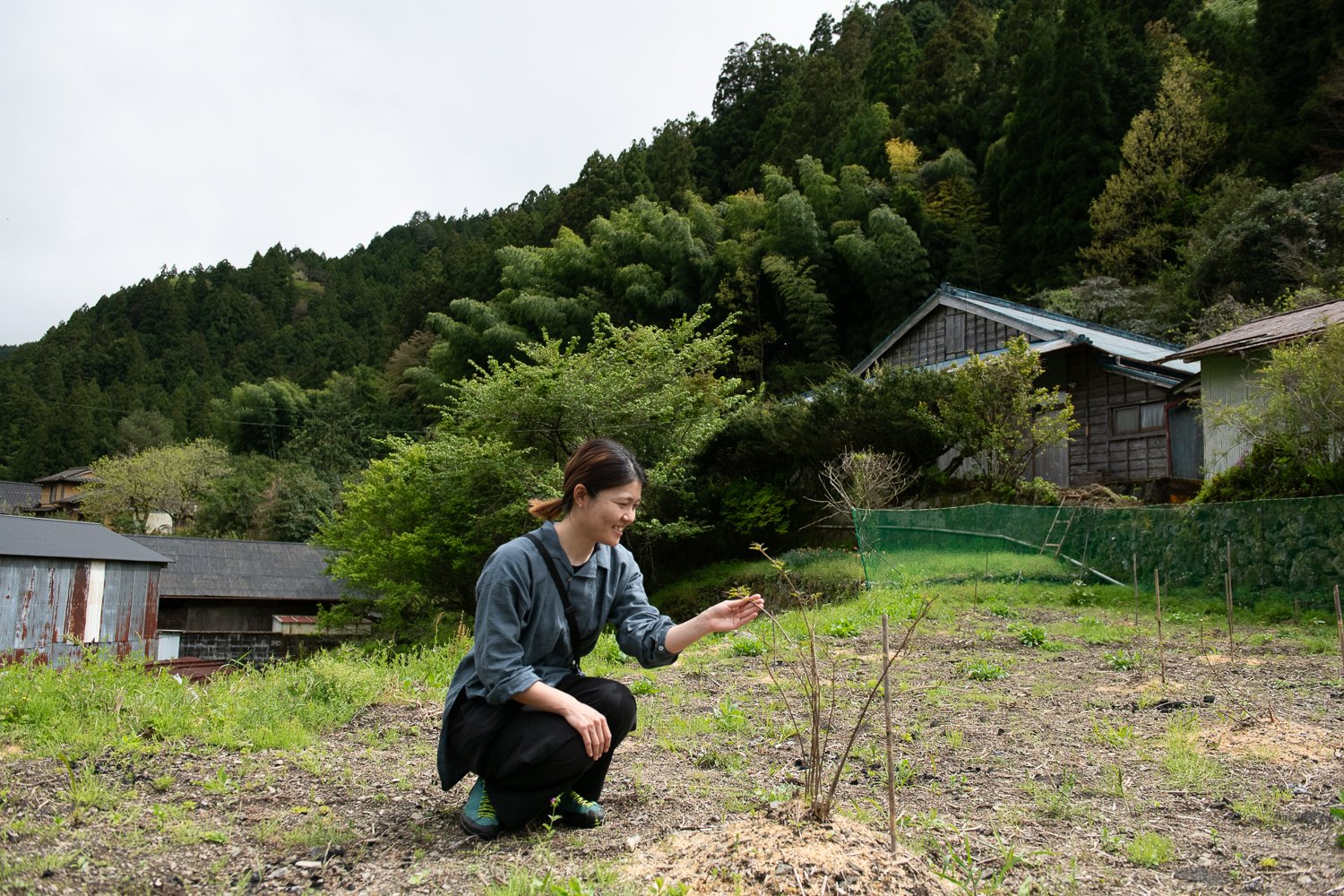▲三嶋さんの楮畑。